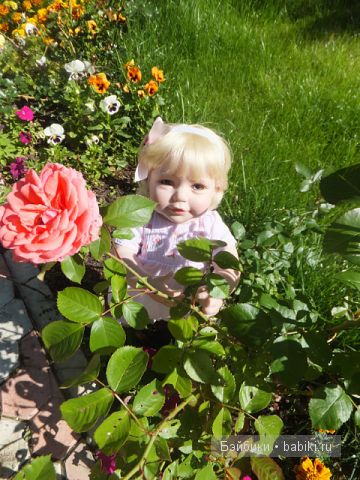 Ангелика и розы 4