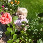 Солнечное настроение. Куклы Адора