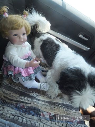 Рита и собаки 1