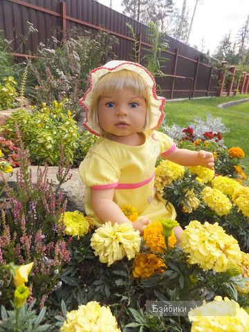 Одуванчик 1