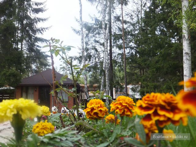 Незатейливые развлечения Ангелики - кукла Адора (фото 3)