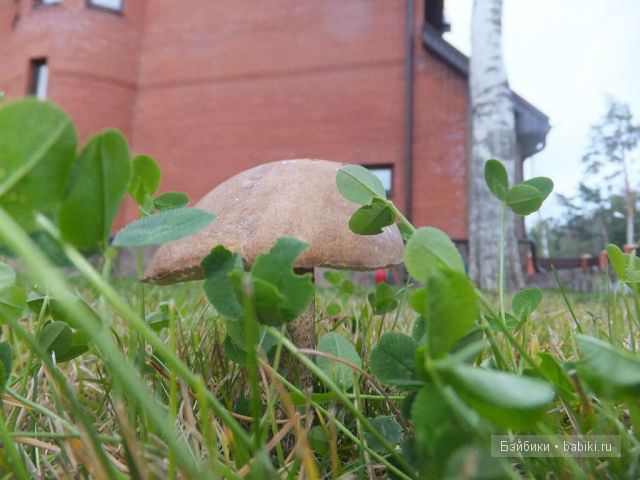 Незатейливые развлечения Ангелики - кукла Адора (фото 10)