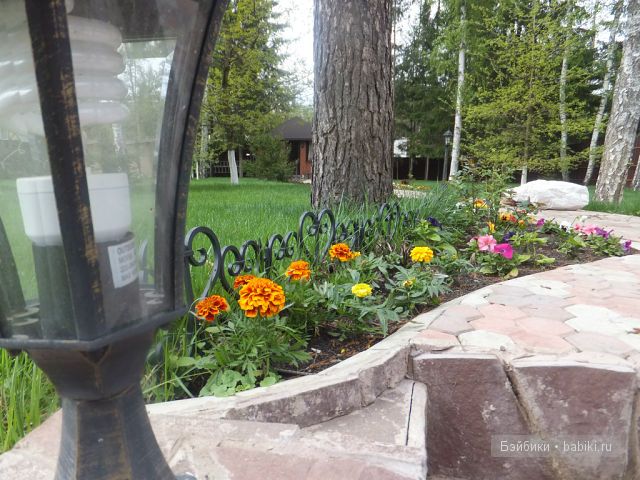 Дорожка, фонарь