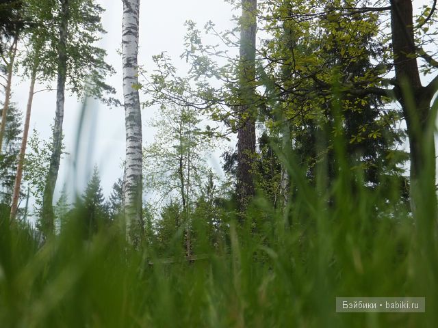 Незатейливые развлечения Ангелики - кукла Адора (фото 6)