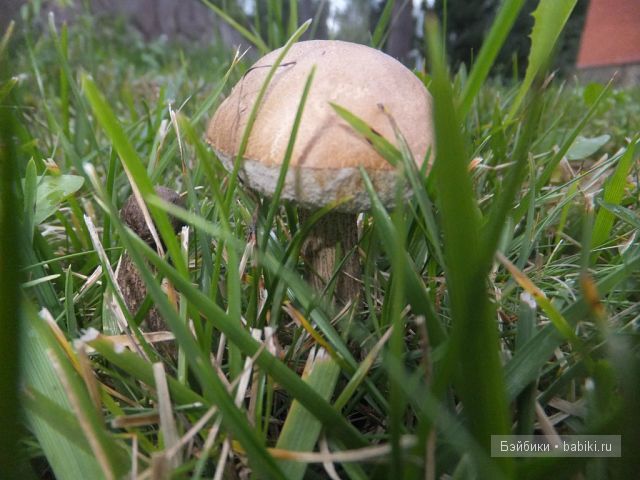 Незатейливые развлечения Ангелики - кукла Адора (фото 9)