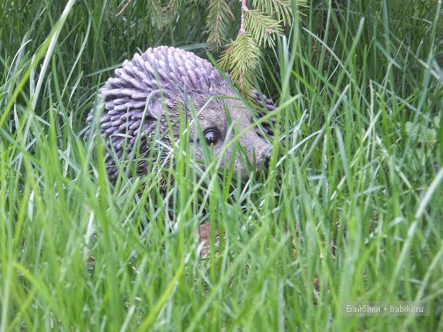 Незатейливые развлечения Ангелики - кукла Адора (фото 8)