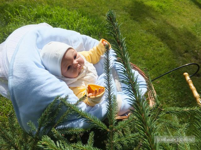 Рассматривает ёлочку