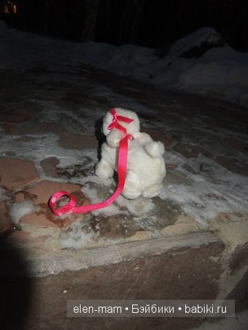 Снежок побежал