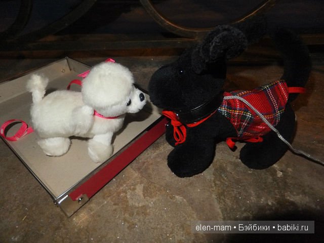 Познакомились