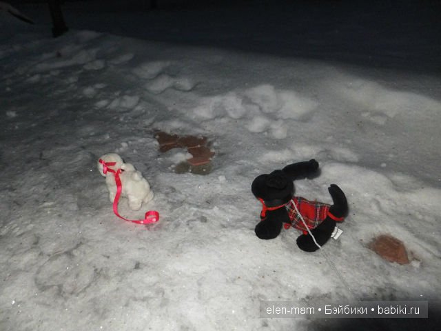 Тотошка догоняет Снежка 3