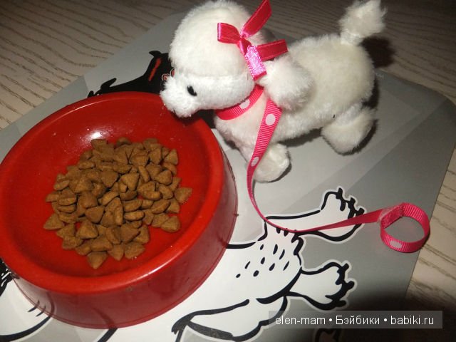 Снежок ест угощение