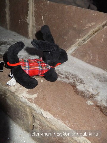 Тотошка догоняет Снежка