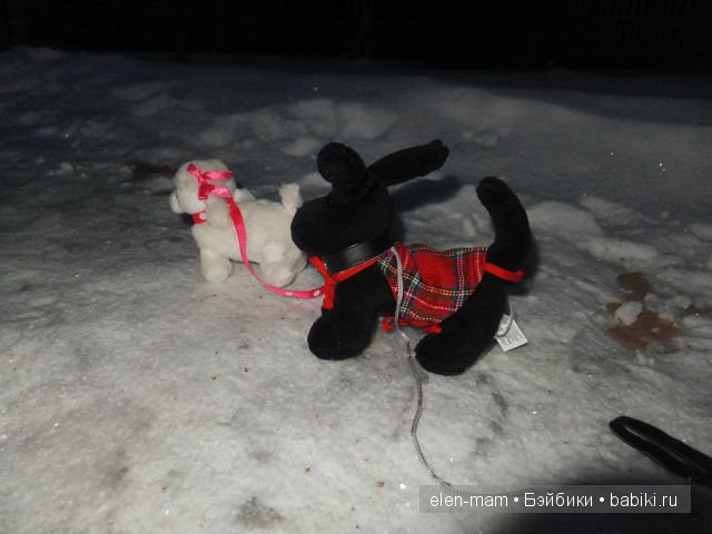 Тотошка догоняет Снежка 2
