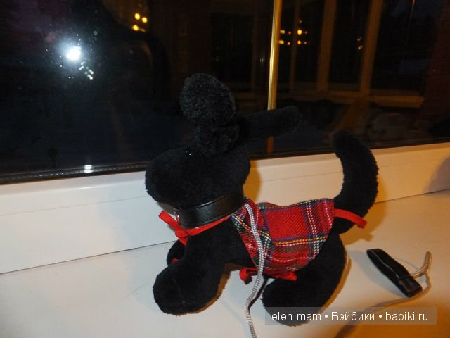 Тотошка на окне