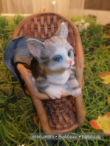 котёнок котёнок