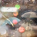 Вышел зонтик погулять, в прятки с дождиком играть. История зонта