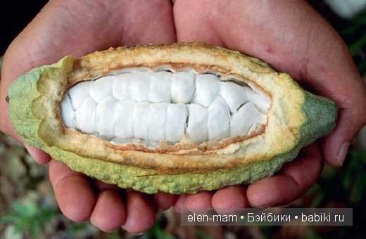 Какао, шоколад...и не только (фото 10)