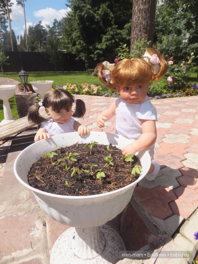 что растёт?