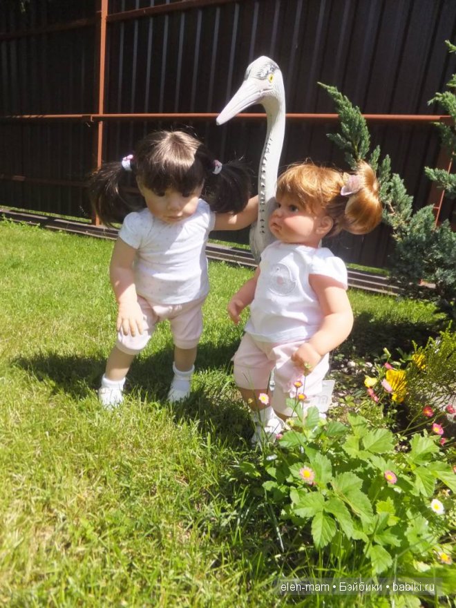 около птицы