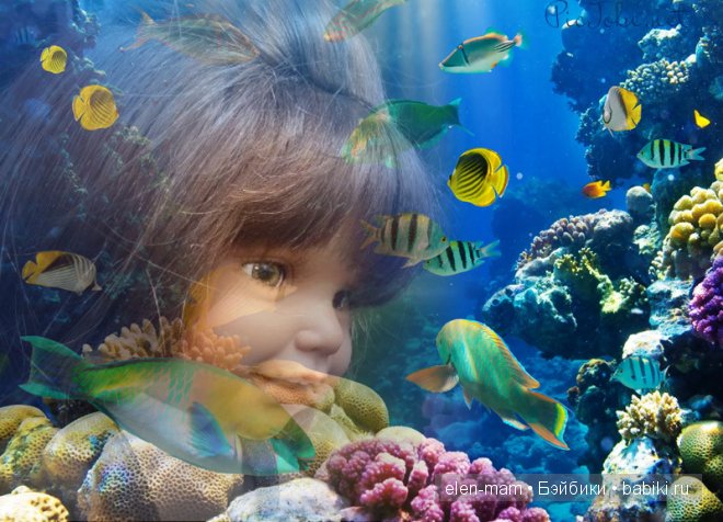 парад рыбок