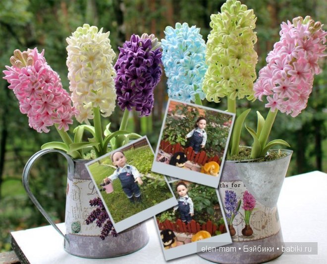 рамка гиоцинты