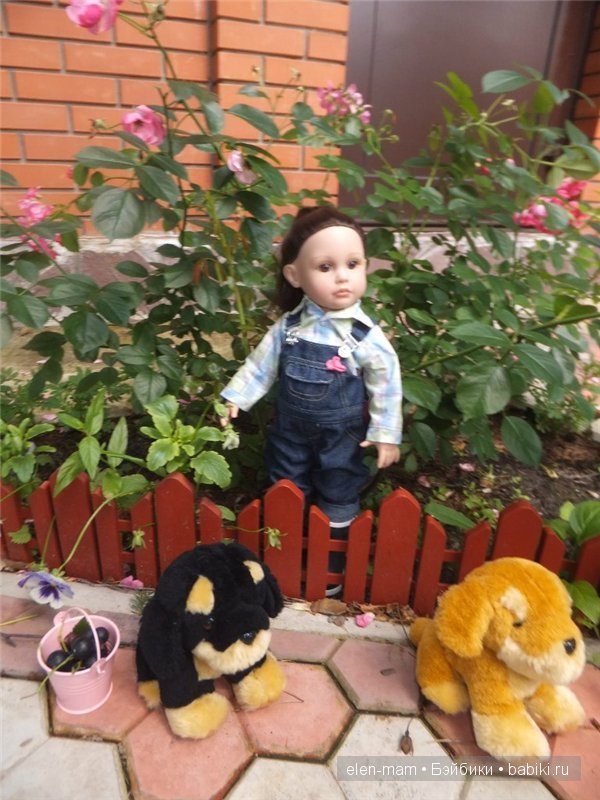 палисадник 2