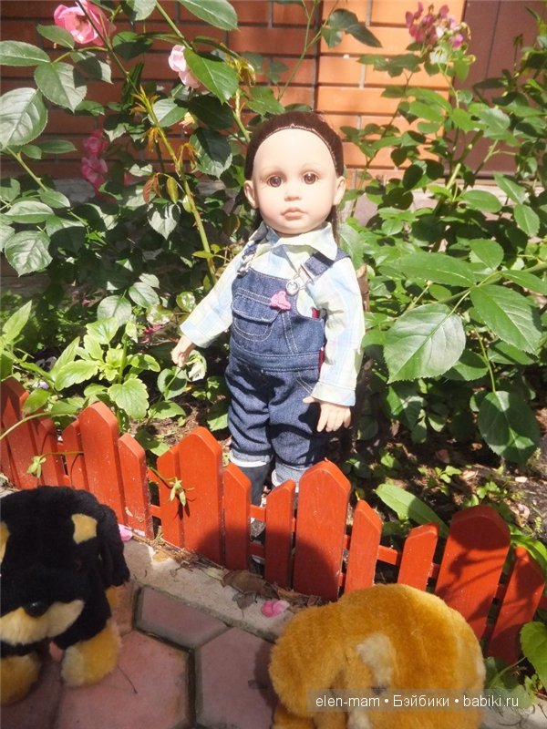 палисадник