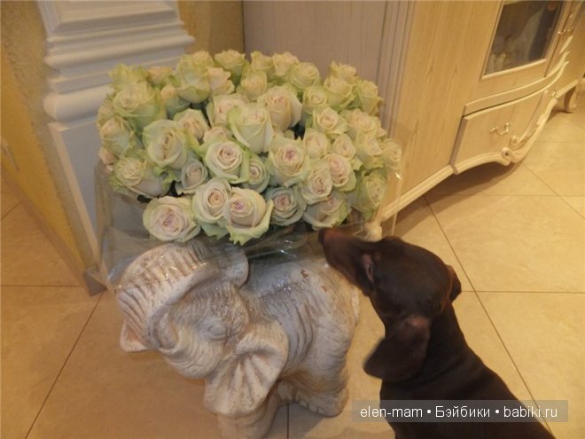 Антонина, Тоня, Тонечка. Кукла Тора от от Sissel Skille | Бэйбики Антонина, Тоня, Тонечка. Кукла Тора от от Sissel Skille (фото 6)