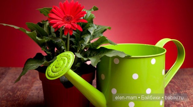 Воспитанная девочка Софи. Моё Сокровище - кукла Sophia от Susan Lippl (фото 4)