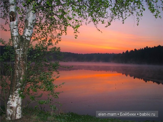 Заря, берёзка Заря, берёзка