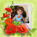 Красные маки