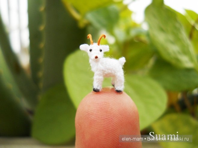 миниатюра 2