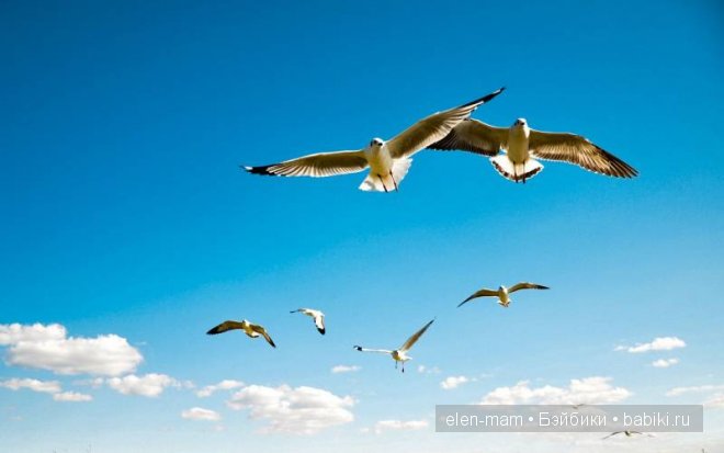 Мои Полосатики и платья для кукол Готц в Морском стиле. А ещё я просто люблю море (фото 7)