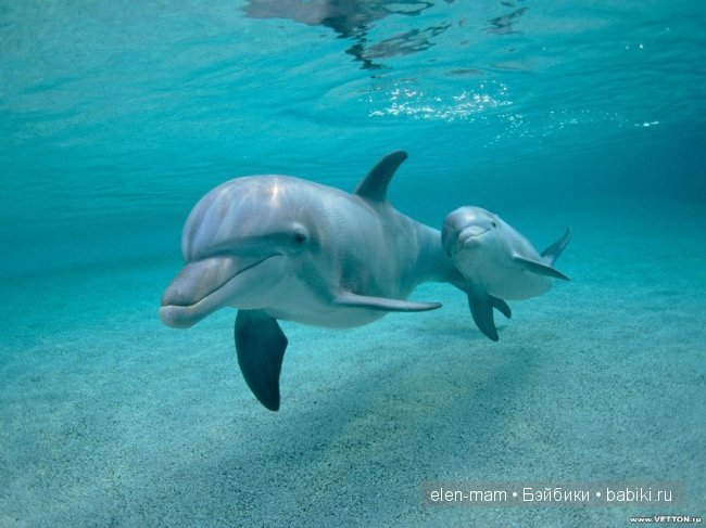 Мои Полосатики и платья для кукол Готц в Морском стиле. А ещё я просто люблю море