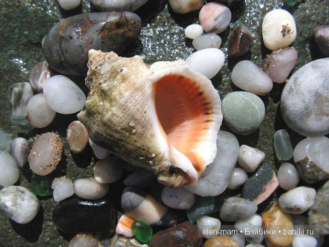 Мои Полосатики и платья для кукол Готц в Морском стиле. А ещё я просто люблю море (фото 5)