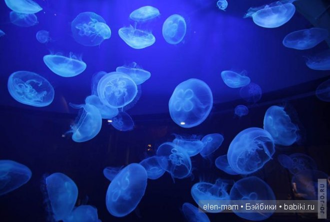 Мои Полосатики и платья для кукол Готц в Морском стиле. А ещё я просто люблю море (фото 8)