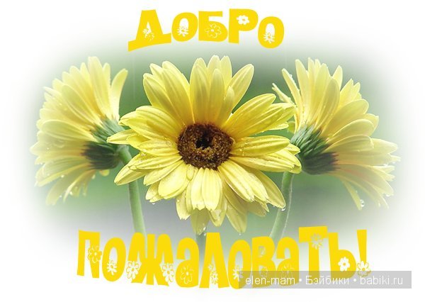 Добро пожаловать