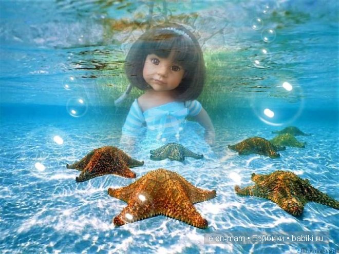 морские звёзды