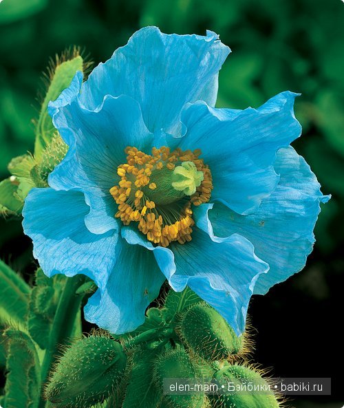 Оттенки моря... Шьём одежду куклам сами (фото 2)