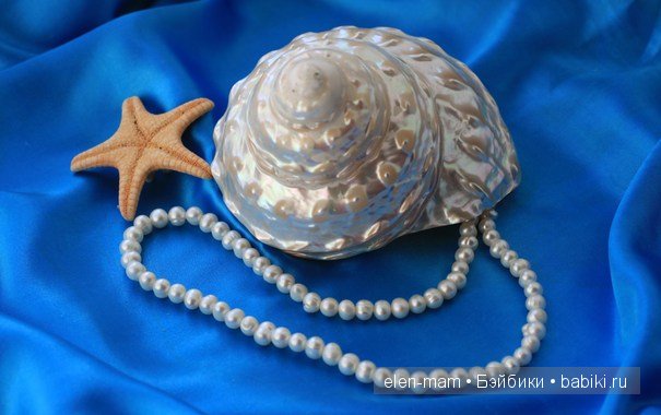Ракушка и Жемчуг Ракушка и Жемчуг
