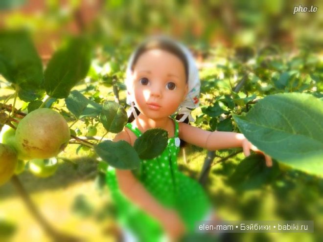 Кира на яблоне