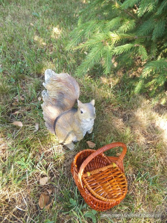 белка и корзинка
