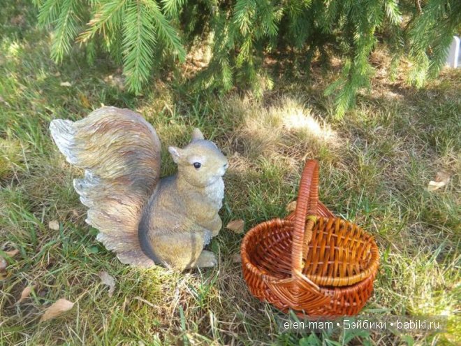 белка и корзинка 2