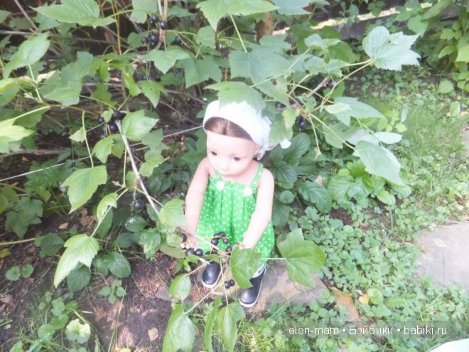 Кира и смородина, вставка 3