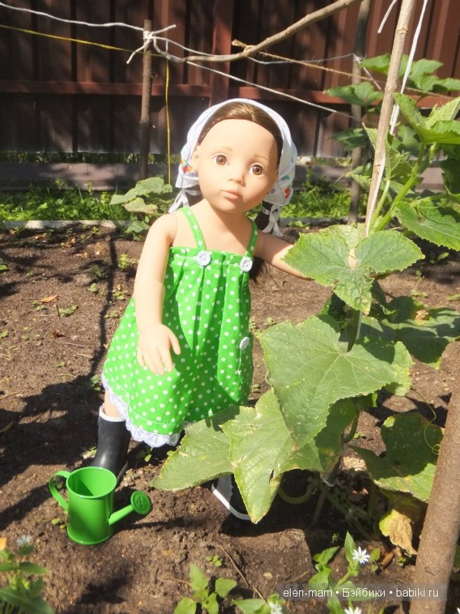 полить огурцы 4