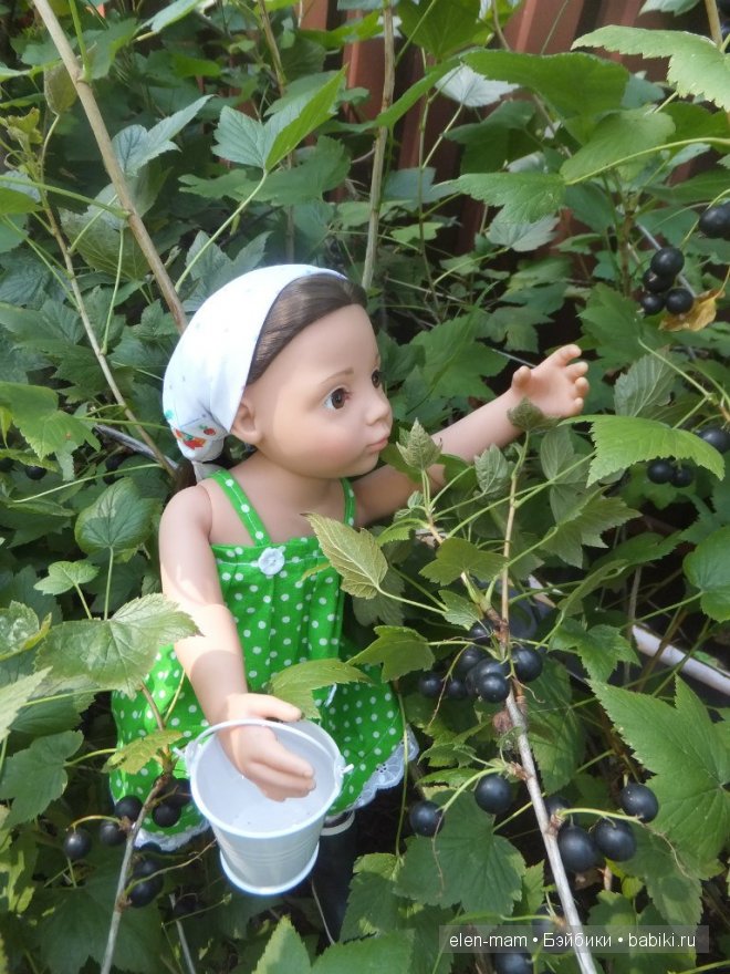 Кира собирает смородину