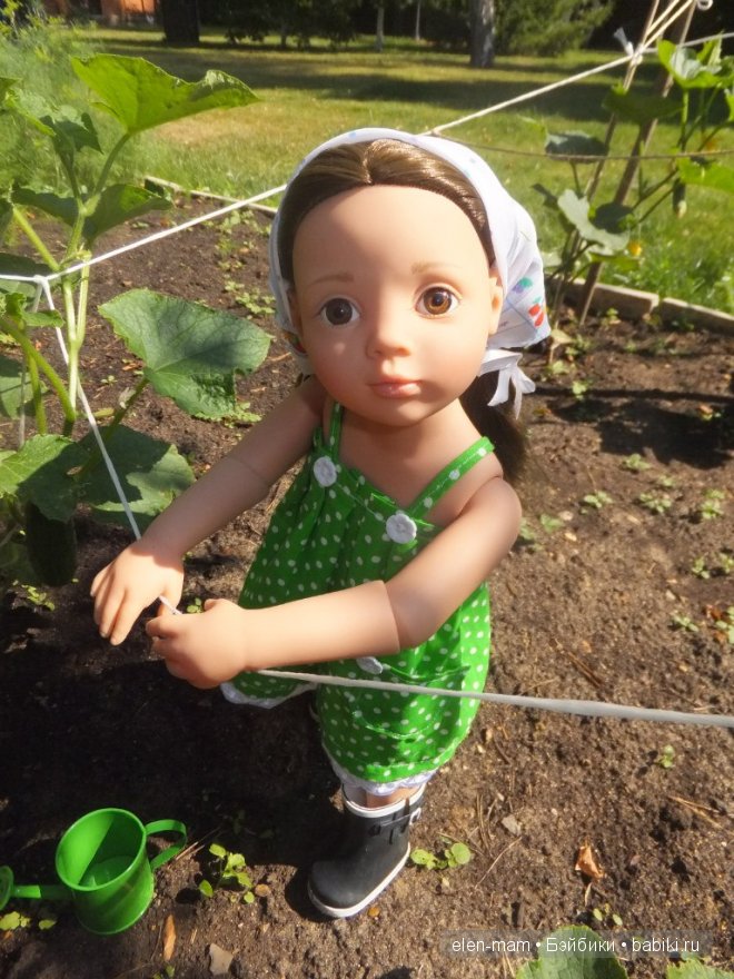 Полить огурцы