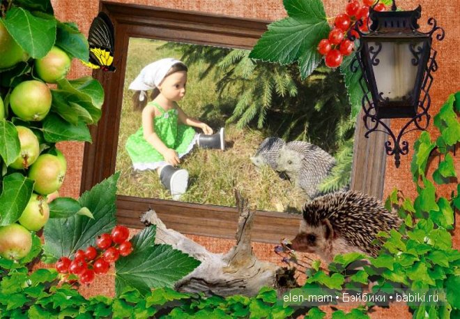 рамка с ёжиками