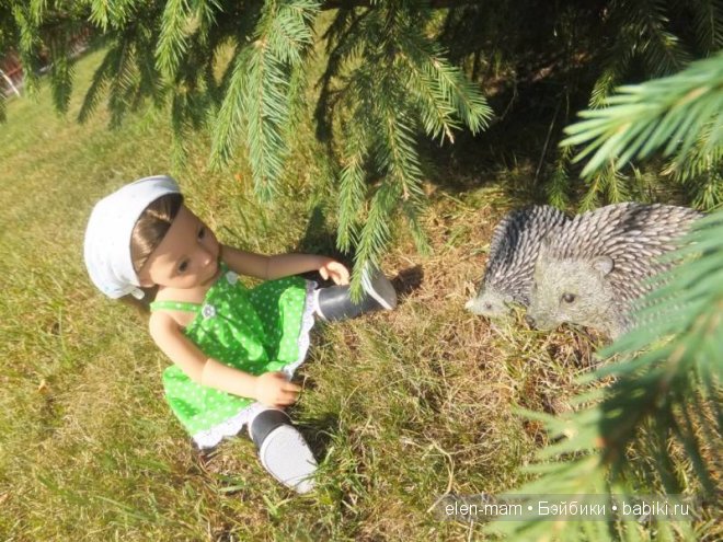 Погладить ёжика