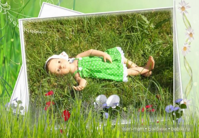 Рамка с полевыми травами и цветами